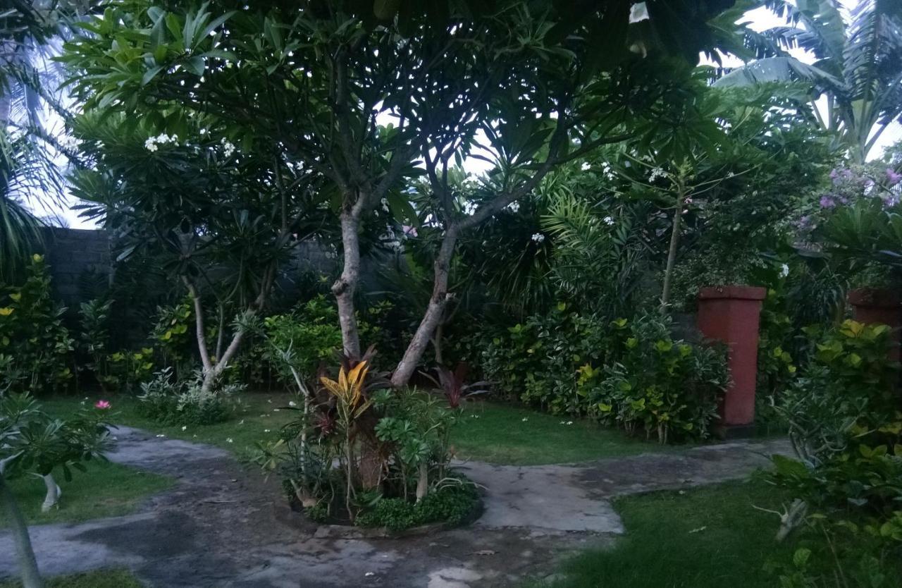 Molleh Guest House Pemuteran Zewnętrze zdjęcie